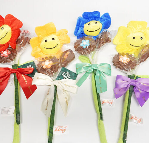 Plush Flower with Chocolate Flower Pops