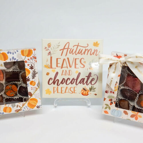Fall Square Assortment